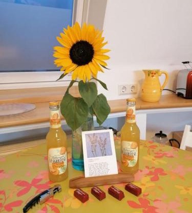Sweet-home No. 1Ferienwohnung Apartment