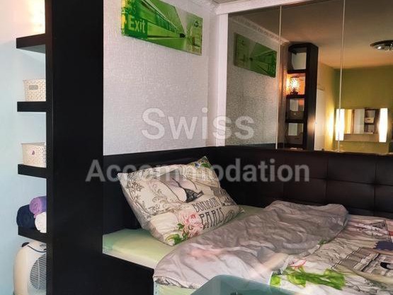 Swiss Accommodation