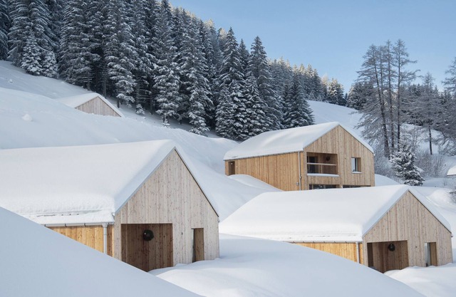 Swisscabin