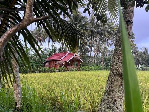 Syaqila Homestay Lombok