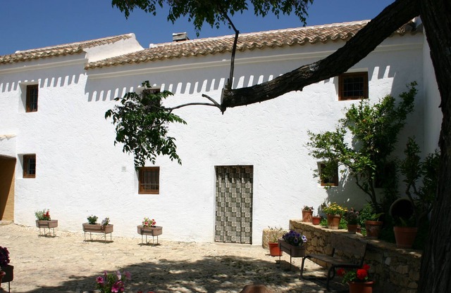 Tïpica Casa Andaluza De Vacaciones Con Piscina Privada Rodeada De Olivares