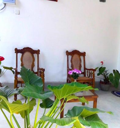 T & U Homestay