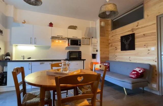 T3 APARTMENT WITH TERRACE OVERLOOKING THE SANCY - CURES OR VACATION -