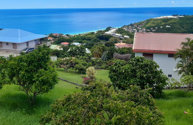 T4CARAIBES