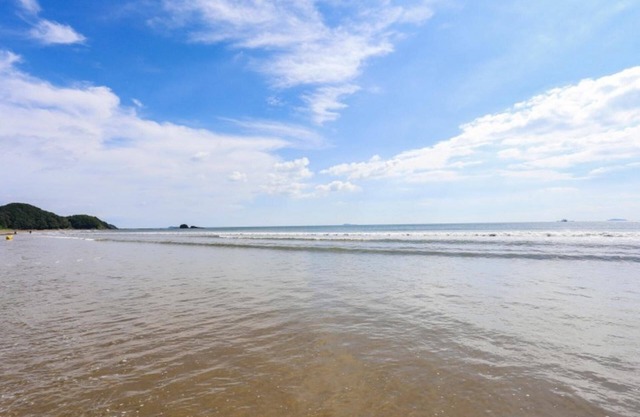 Taean W Pension