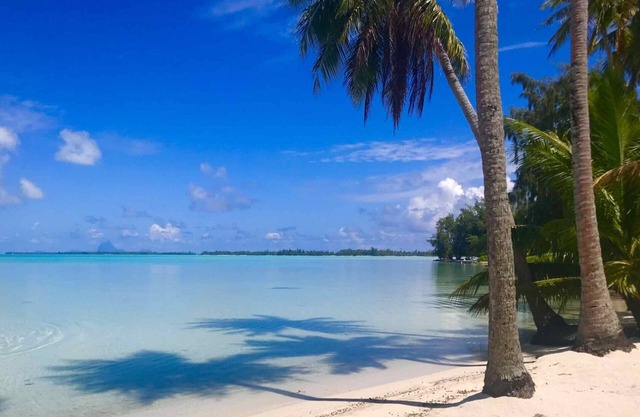 TAHAA - Motu Lodge Maohi