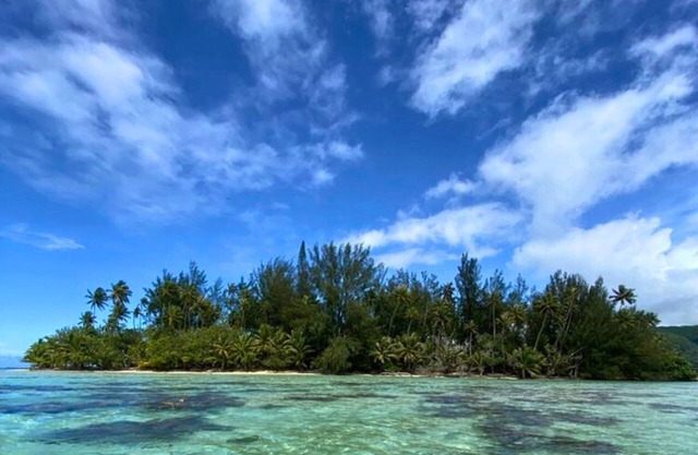 TAHITI - Mataiea BnB