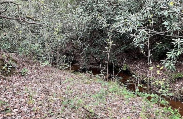Tallulah Gorge Guest Suite One & Two