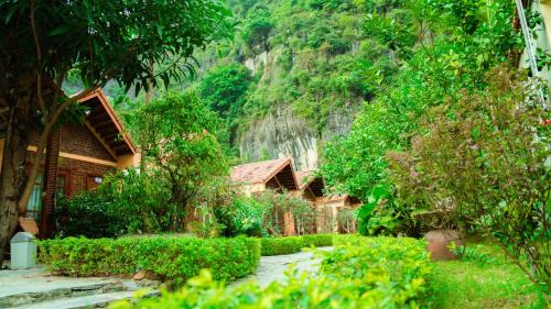 Tam Coc Bungalow 