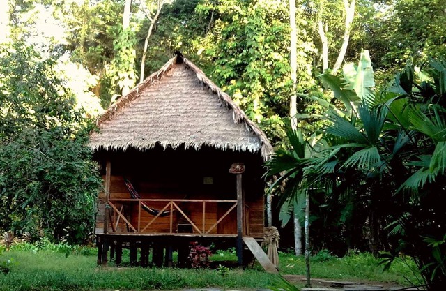 Tambopata Trek