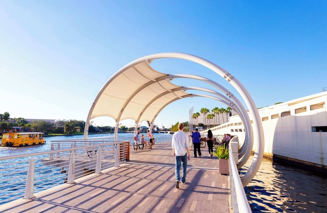 Tampa Haven 7 Mile to Busch Garden | Pet Friendly