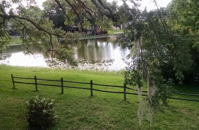 Tampa Lakehouse II 2 bedroom and 2 bathroom