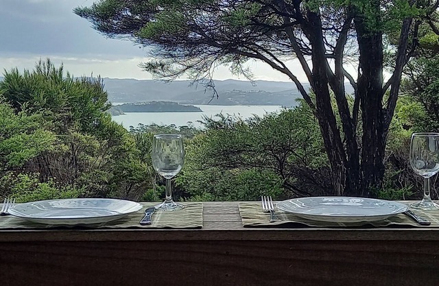 Te Oneroa Hill, 5 acres of native park with wonderful sea view.