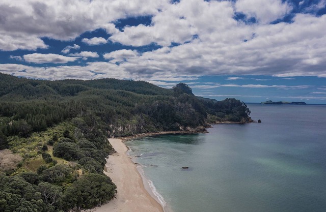 Te Waahi Hono - Onemana Holiday Home