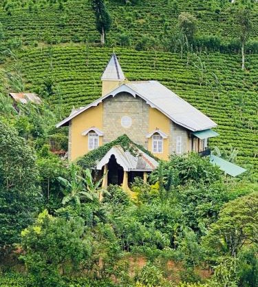 Tea Tree Boutique Hotel