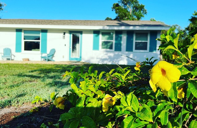 Teal Turtle House Englewood Shark Tooth Huntn