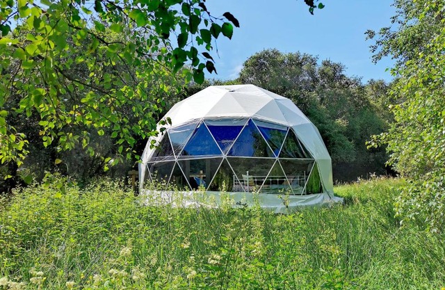 Teapot Lane Glamping - Adults only