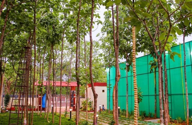 Tectona Treetop Mansion