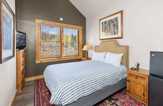 Telluride Mountain Lodge Skiin Out amazing location