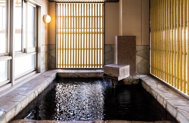 Tennen Onsen Ariston Hotel Oita