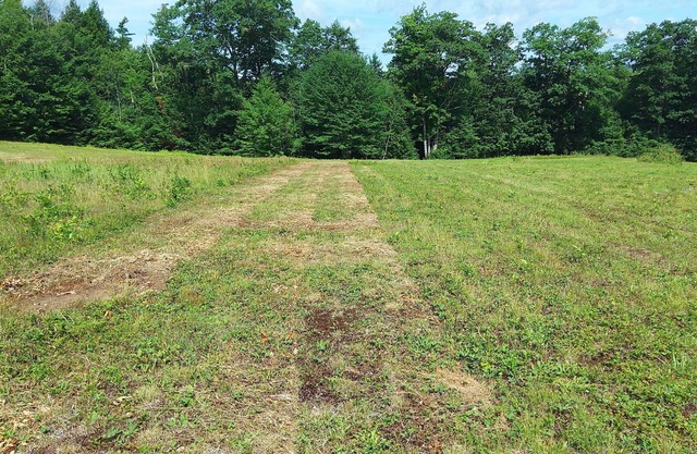 Tent camping sites in the country
