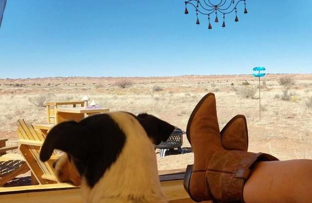 Tentrr Signature Site - Million Stars Campsite in Petrified Forest - Bliss