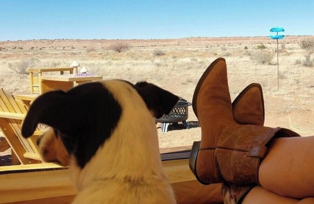 Tentrr Signature Site - Million Stars Campsite in Petrified Forest - Bliss