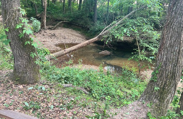 Tentrr Signature Site - Stargazing at Hidden Creek