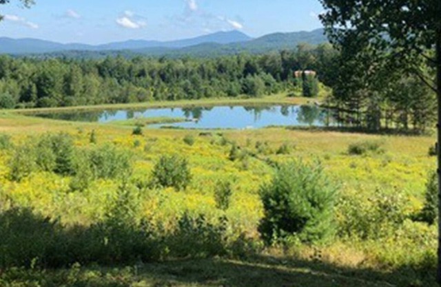 Tentrr Signature Site - Belle Vista Farm - Coleman Outfitted Site