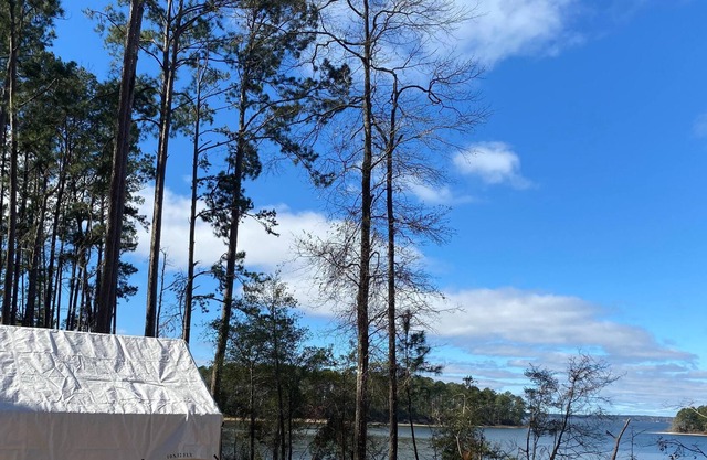 Tentrr State Park Site - Louisiana South Toledo Bend State Park - Site C - Sing