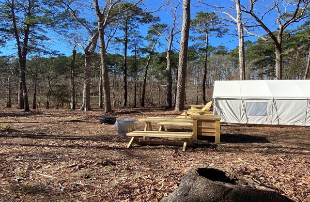 Tentrr State Park Site - Louisiana South Toledo Bend State Park - Site F - Sing