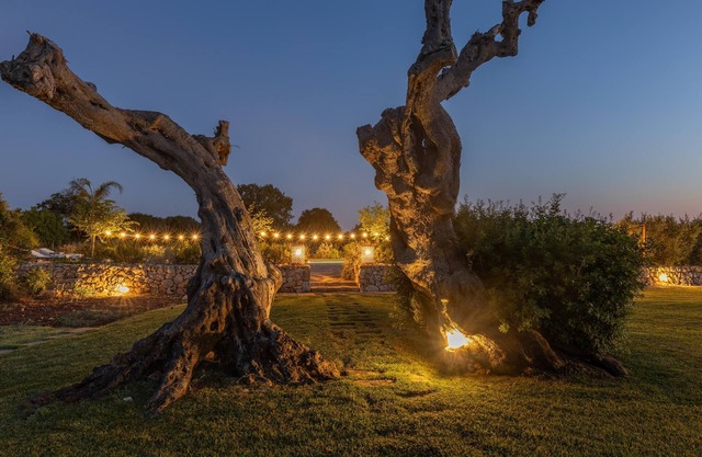 Tenuta Del Leccino - Torre Vado