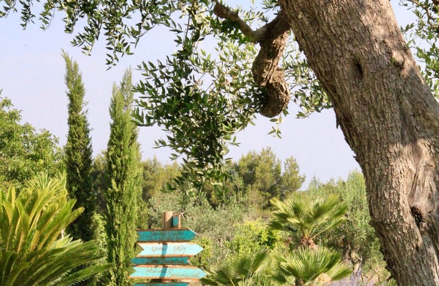 Tenuta Donna Caterina