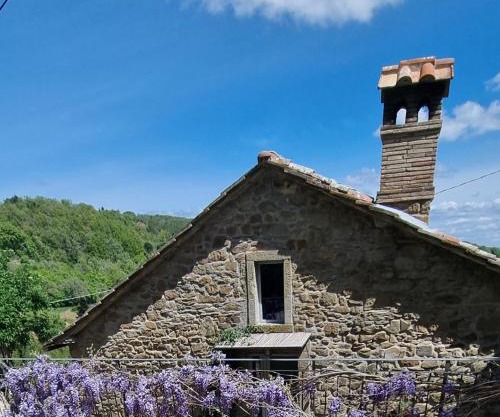 Tenuta la Scure il focolare