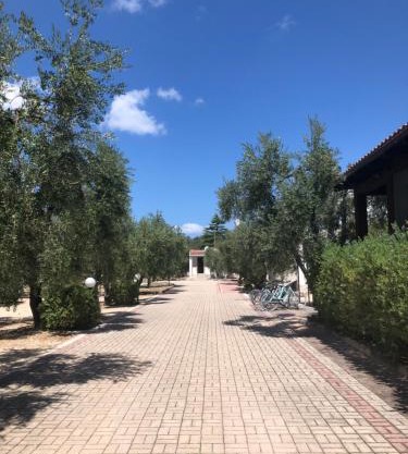Tenuta Montincello