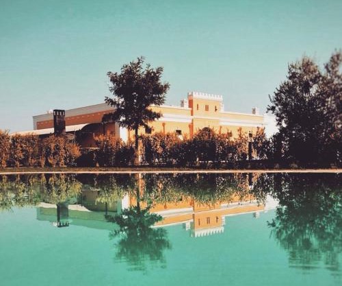 Tenuta Orsanese