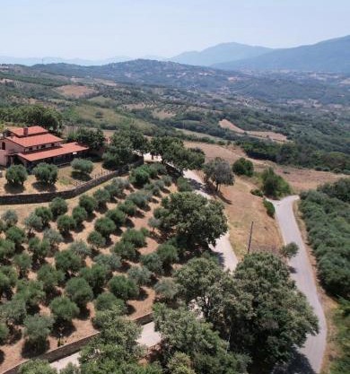 Tenuta Raimo