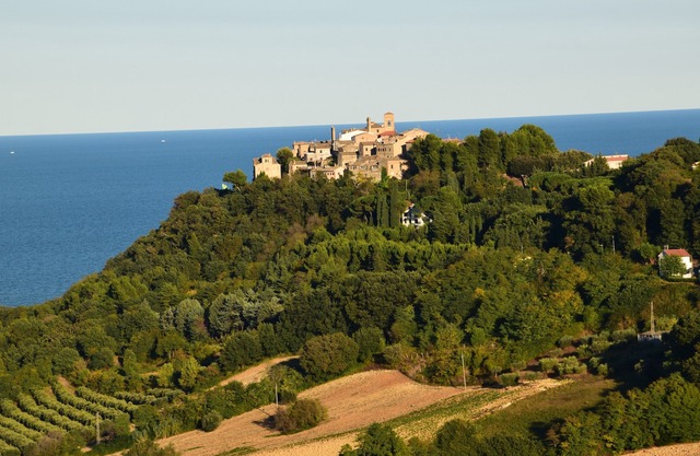 Tenuta Sunglasses Coste