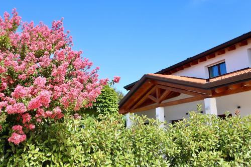 Tenuta Tommasi - Relais Bacco
