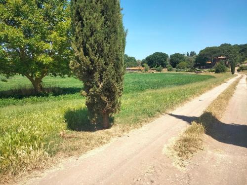 Tenuta Vallenoci