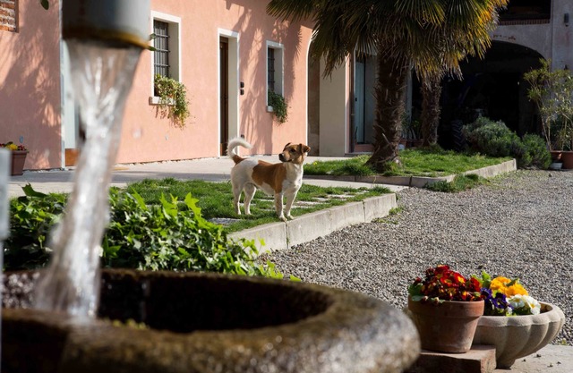 Tenuta Valtoppa