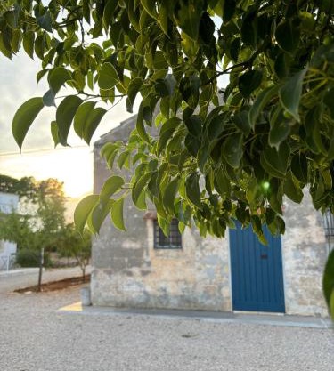 Tenuta Villa Vittoria