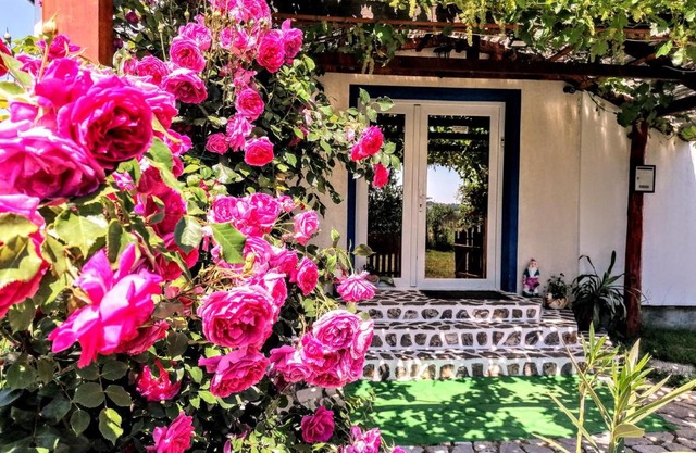 Teo Guest Rooms