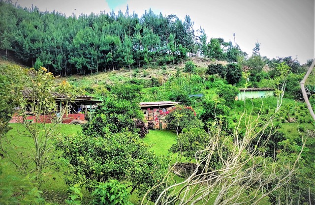 Tesorito House en las Montañas del Quindío