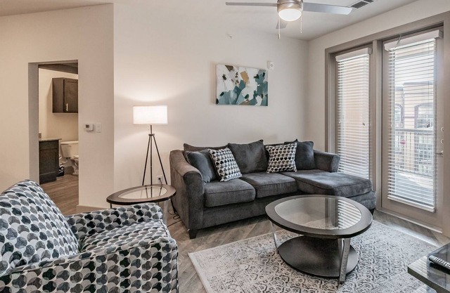 Texas Corporate Housing Solutions Professional Apt