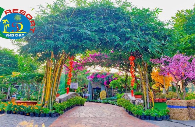Thanh Dat Resort
