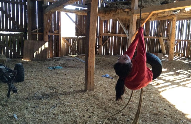 Thanksgiving at Foxglove Farm, just 1hr from Toronto