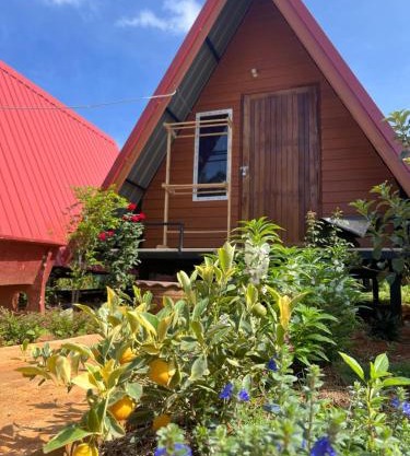 Thanya local campsite Thailand