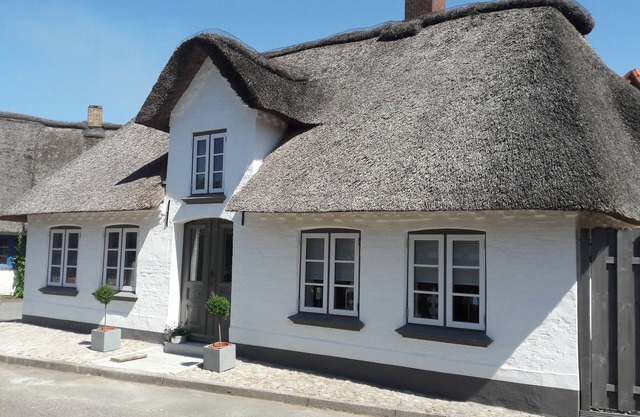 Thatched cottage with sauna house in North Friesland