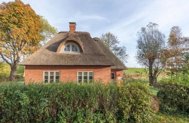 thatched cottage with tiled stove